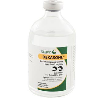 DEXASONE® INJECTION 2 MG/ML 100 ML (RX)