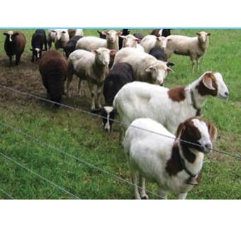 ELECTRIC FENCE WIRE 14 GA 1320 FT L