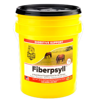FIBERPSYLL SUPPLEMENT 20 LB