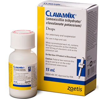 CLAVAMOX® DROPS 15 ML 1/PKG (RX)