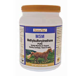 MSM PURE POWDER 2LB