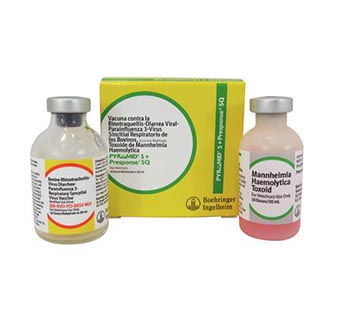 PYRAMID® 5 + PRESPONSE® SQ 20 ML (10 DOSES)