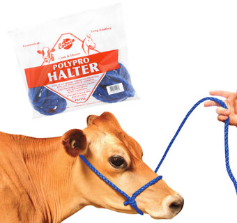POLY PRO HALTERS FOR COWS & HORSES - BLUE - EACH