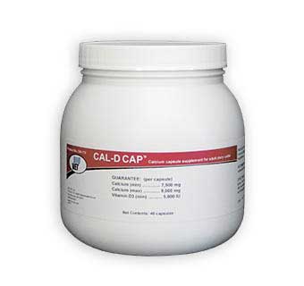 CAL-D CAP™ CALCIUM CAPSULES 40/PKG