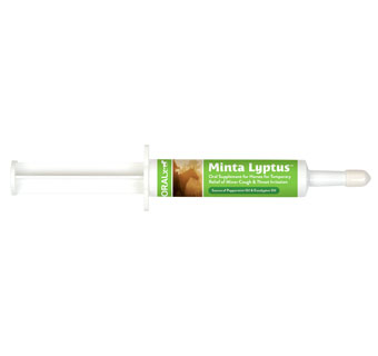 MINTA LYPTUS PASTE - 34GM SYRINGE - EACH