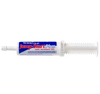 JUMP-START PLUS 60 GRAM