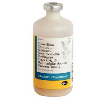 ULTRABAC® 7/SOMUBAC 50 DOSES