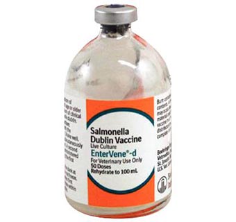 ENTERVENE®-D 20 ML (10 DOSES); 1/PKG