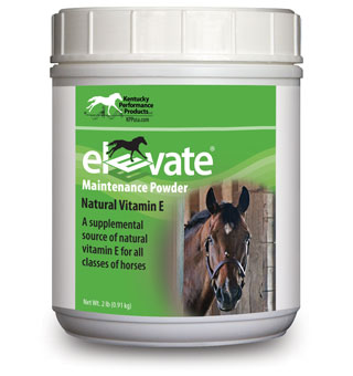 ELEVATE® MAINTENANCE POWDER 2 LB