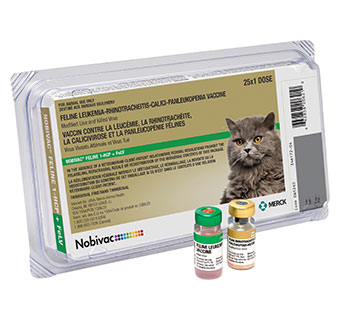 NOBIVAC® FELINE 1-HCP+FELV 25 X 1 ML DOSE