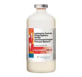 REPROSTAR® L5 HB 100 ML (50 DOSES)