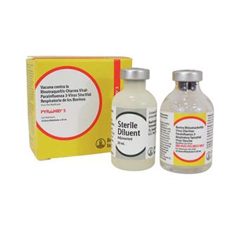 PYRAMID® 5 20 ML (10 DOSES)