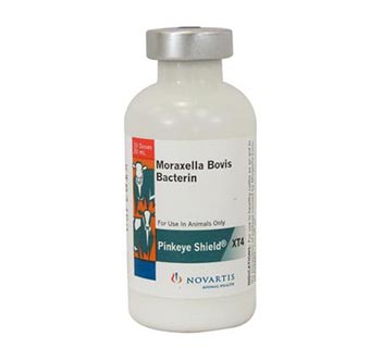 PINKEYE SHIELD® XT4 20 ML (10 DOSES)