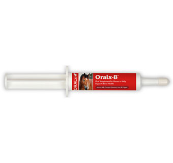 ORALX-B VITAMIN B COMPLEX PASTE - 34GM SYRINGE - 12/BOX