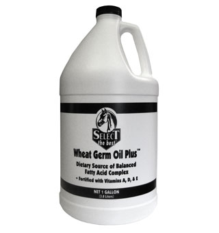 WHEAT GERM OIL PLUS GALLON