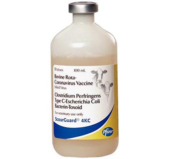 SCOURGUARD® 4KC BOVINE ROTA CORONAVIRUS VACCINE 50 DOSES
