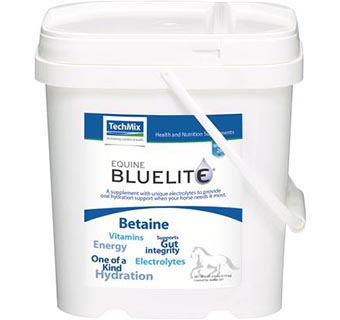 EQUINE BLUELITE® POWDER 6 LB 1/PKG