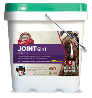FORMULA 707 JOINT 6IN1 20 LB