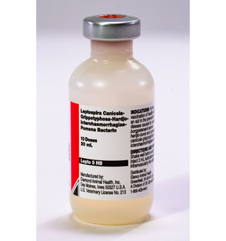 LEPTO SHIELD™ 5 20 ML (10 DOSES)