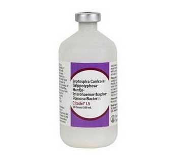 CITADEL™ L5 50 DOSE VIAL