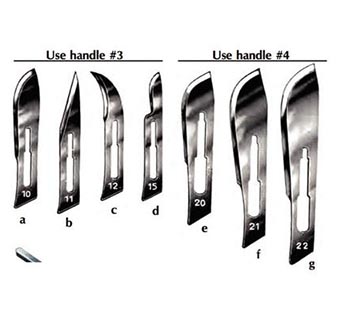 SCALPEL DISPOSABLE CARBON STEEL #22 10/PKG