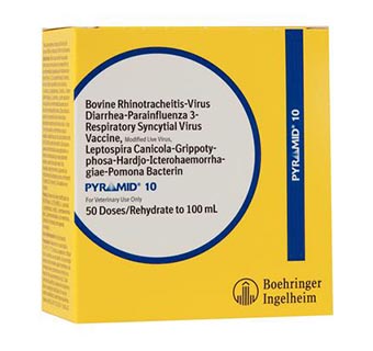 PYRAMID® 10 HB 100 ML (50 DOSES)