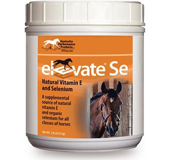 ELEVATE® SE 2 LB TUB