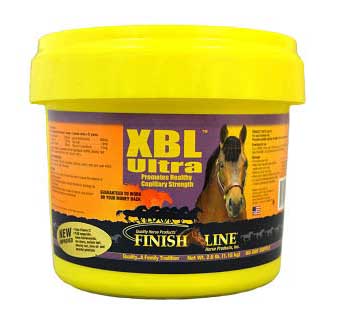 XBL POWDER 2.6 LB