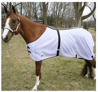 HORSE SENSE® FLY SHEET - WHITE - 72IN - EACH