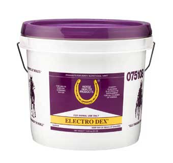 ELECTRO DEX ELECTROLYTES 30 LB PAIL