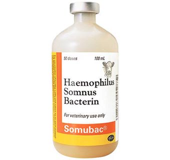 SOMUBAC® 50 DOSES