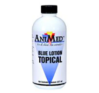 BLUE LOTION DAUBER - 8OZ - EACH