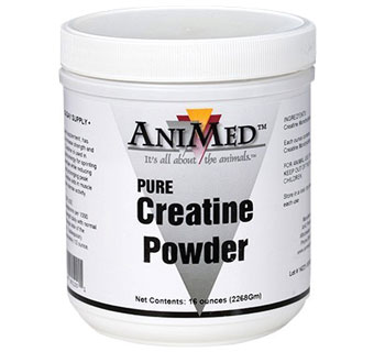 CREATINE POWDER FEED SUPPLEMENT 16 OZ