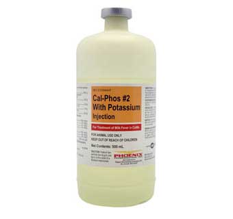 CAL PHOS #2 + POTASSIUM INJECTION (RX) 500 ML