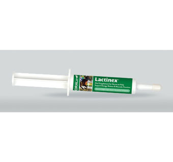 LACTINEX™ DIETARY SUPPLEMENT 34 G