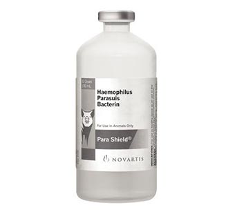 PARA SHIELD® 100 ML (50 DOSES)