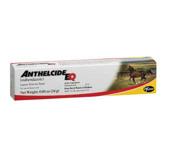 ANTHELCIDE® EQ PASTE 24 G SYRINGE 1/PKG