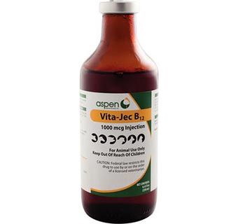VITA-JEC® B12 INJECTION 1000 MCG 250 ML (RX)