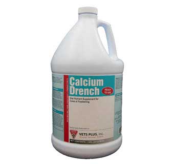 CALCIUM DRENCH GALLON