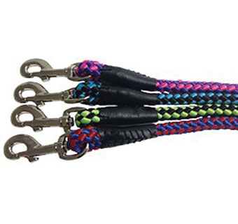 351 ROPE DOG LEASH BRAIDED POLY 1/2 IN X 6 FT RED/BLUE