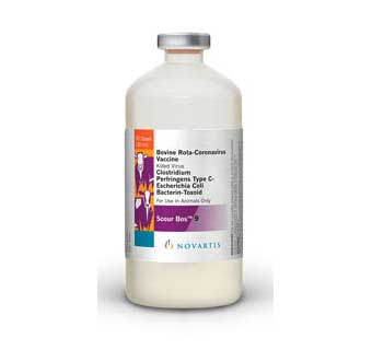 SCOUR BOS® 9 100 ML 50/PKG