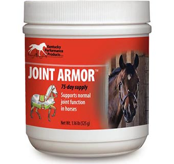 JOINT ARMOR™ 1.16 LB JAR