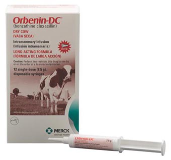 ORBENIN®-DC 7.5 G SYRINGE 12/PKG (RX)
