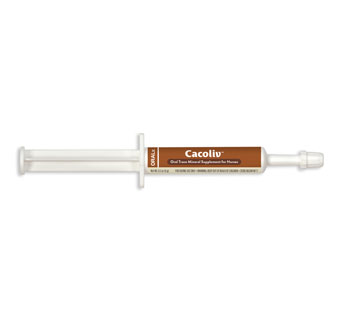 CACOLIV PASTE - 6ML SYRINGE - EACH