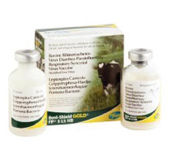 BOVI-SHIELD GOLD® FP 5 L5 10 DOSES