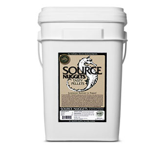 SOURCE NUGGET 25 LB