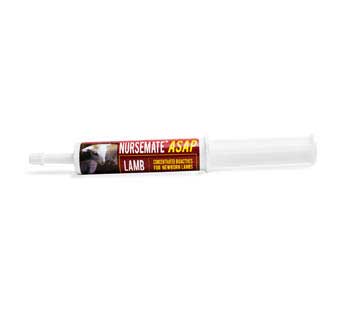 NURSEMATE ASAP LAMB 30 ML TUBE