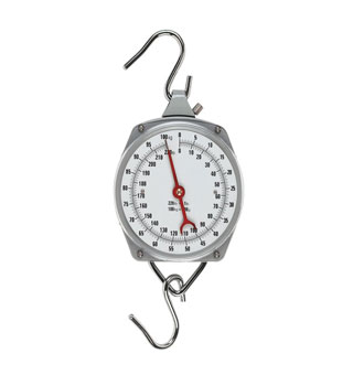E-Z HANG SCALE 110 LB 8 OZ INCREMENT