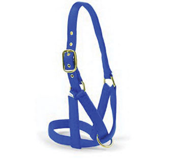 24 P 2-PLY NYLON TURN-OUT COW HALTER 1 IN BLUE