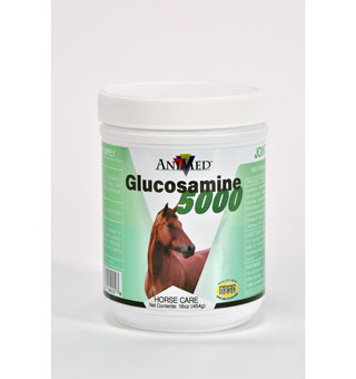GLUCOSAMINE 5000 POWDER - 16OZ - EACH